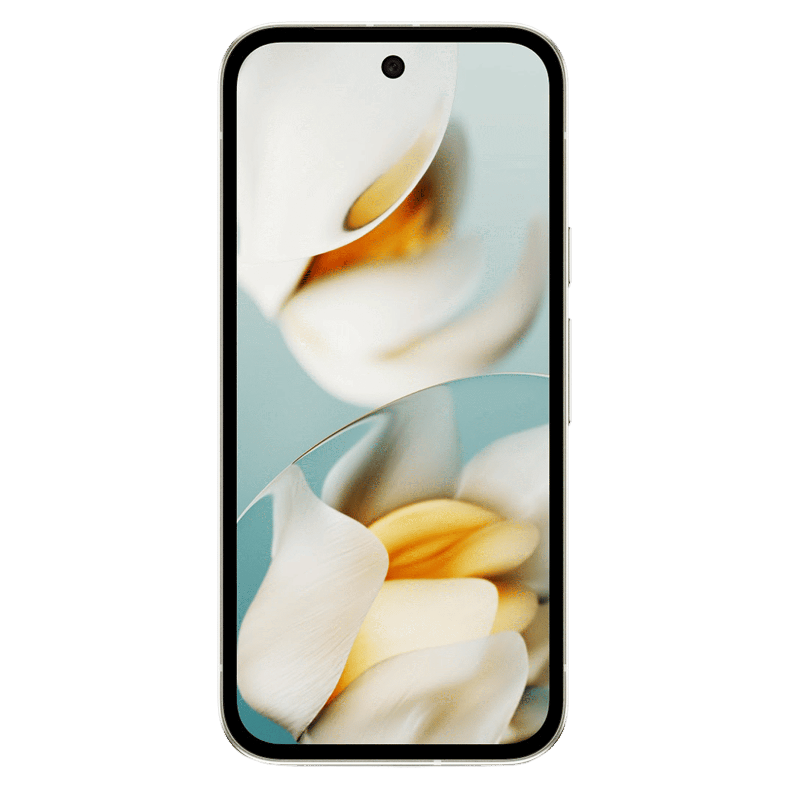 314882_11_qLq-wfMFI.png?